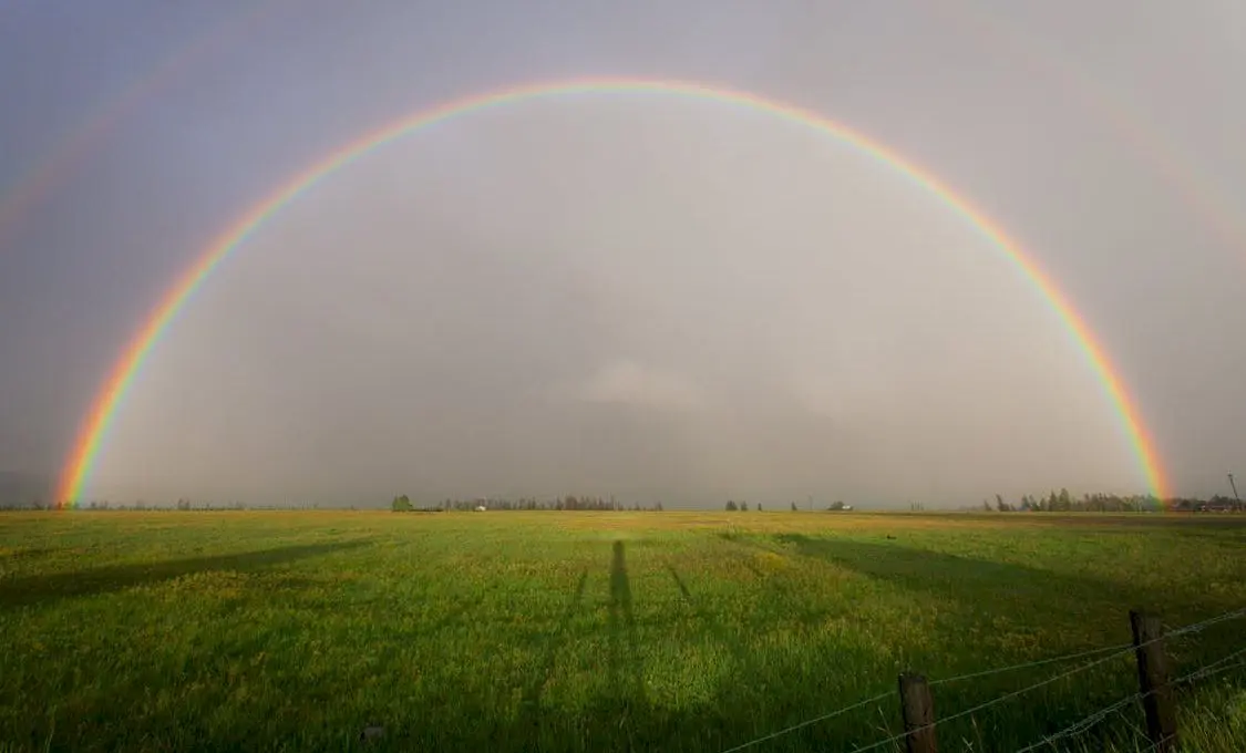 Care sunt culorile curcubeului? Ce înseamnă ROGVAIV?