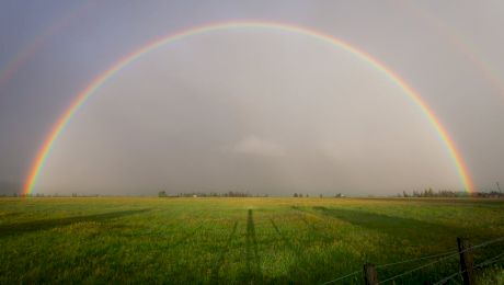 Care sunt culorile curcubeului? Ce înseamnă ROGVAIV?