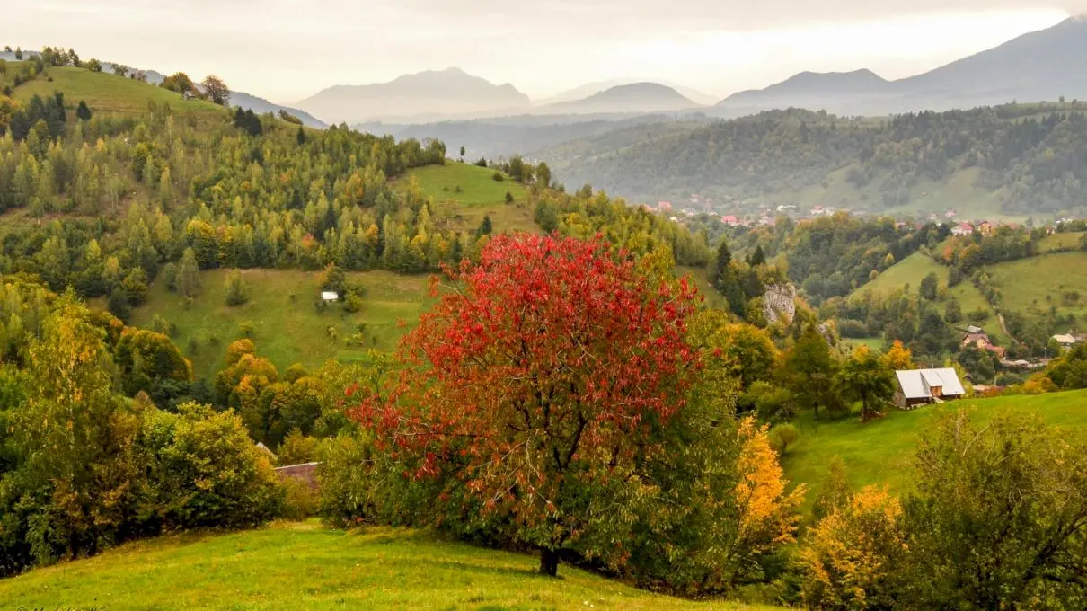 De ce țara noastră se cheamă România? Cine a folosit numele pentru prima dată?