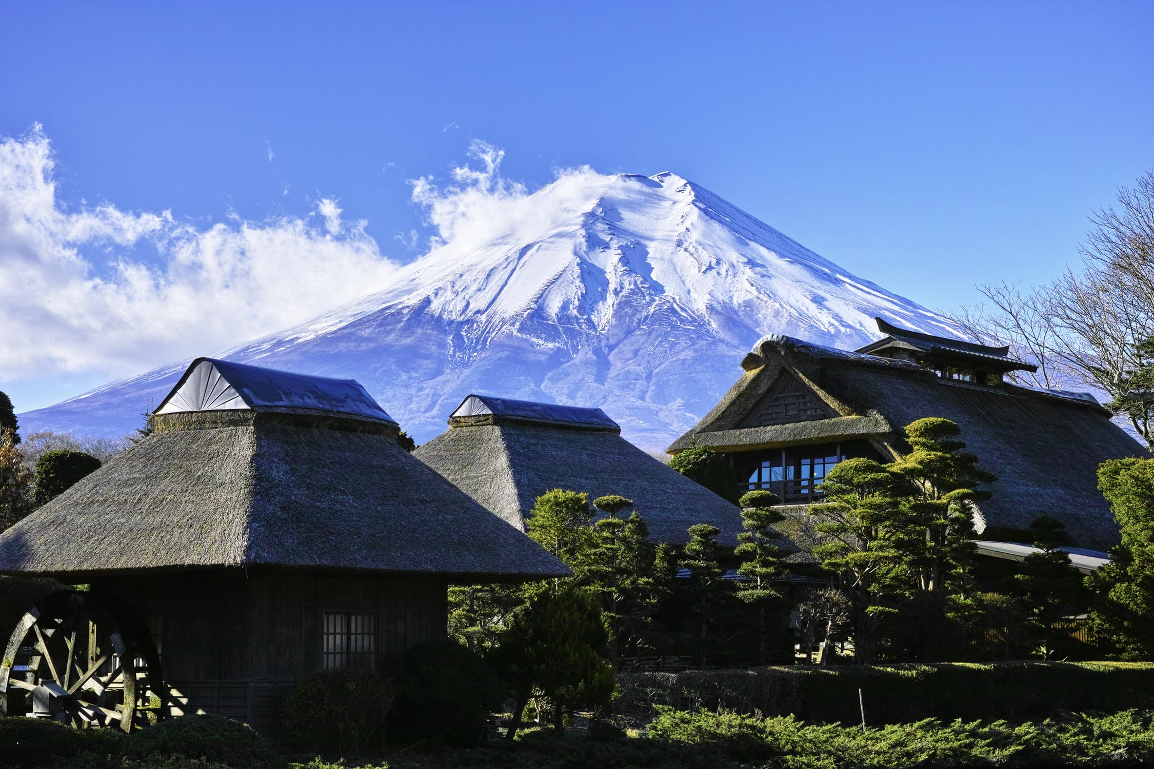 Japonia