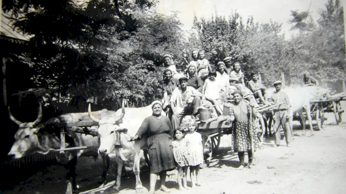 Din ce zonă a României provine numele tău de familie?