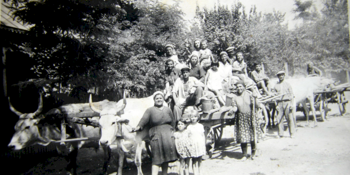 Din ce zonă a României provine numele tău de familie?