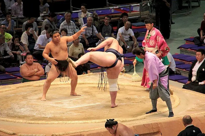 De ce luptătorii de sumo sunt așa grași?