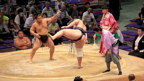 De ce luptătorii de sumo sunt așa grași?