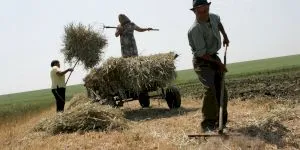 De ce „Du-te-n p**da mă-tii” este una dintre cele mai utilizate înjurături românești? Care este substratul cuvintelor?