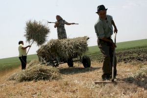 De ce înjurăturile românilor te trimit la origini? Care este explicația?