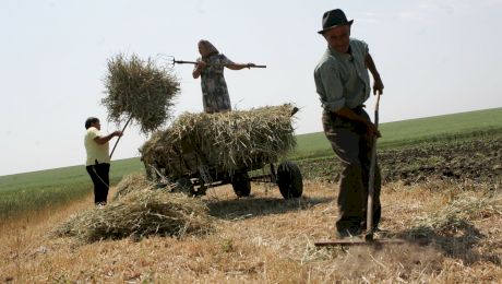 De ce înjurăturile românilor te trimit la origini? Care este explicația?