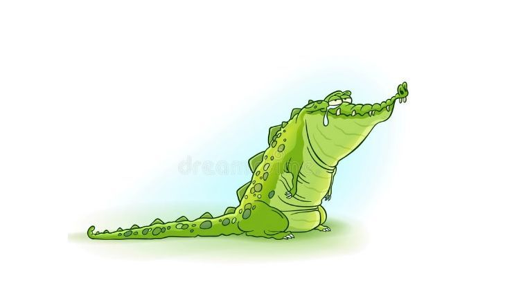 crocodil