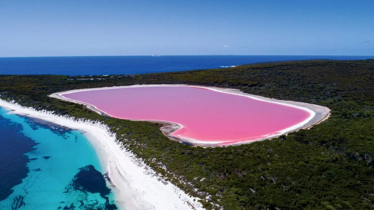 De ce acest lac din Australia are culoarea roz?