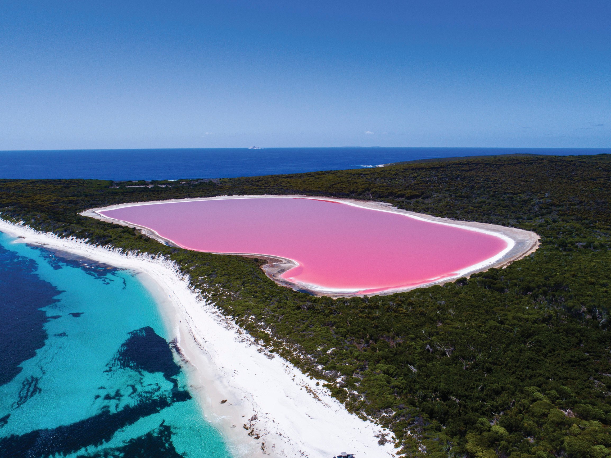 Lac Roz De ce acest lac din Australia are culoarea roz? Lacul roz din Australia