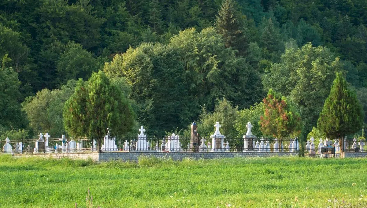 Care a fost cel mai grav accident rutier din istoria României? Câți oameni au murit?