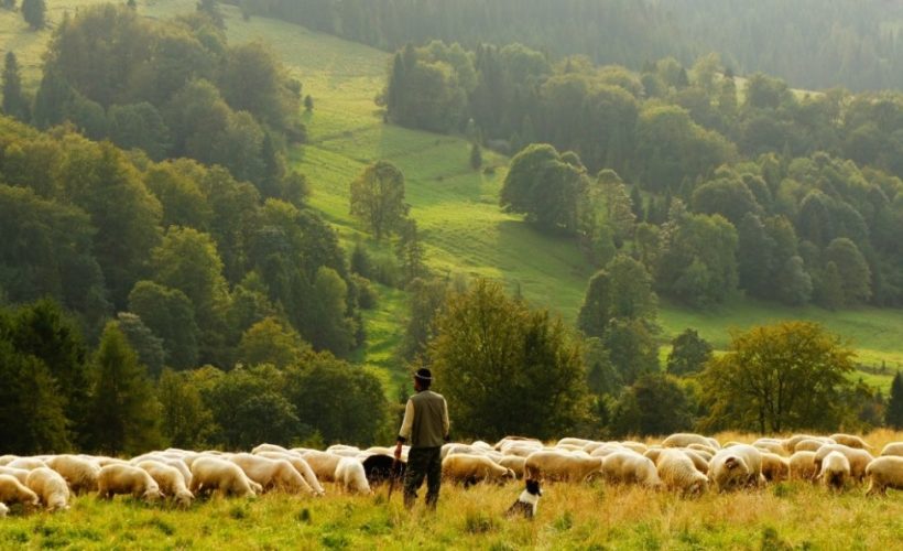 Care sunt pleonasmele din limba română întâlnite cel mai des?