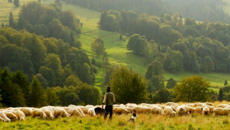 Care sunt pleonasmele din limba română întâlnite cel mai des?