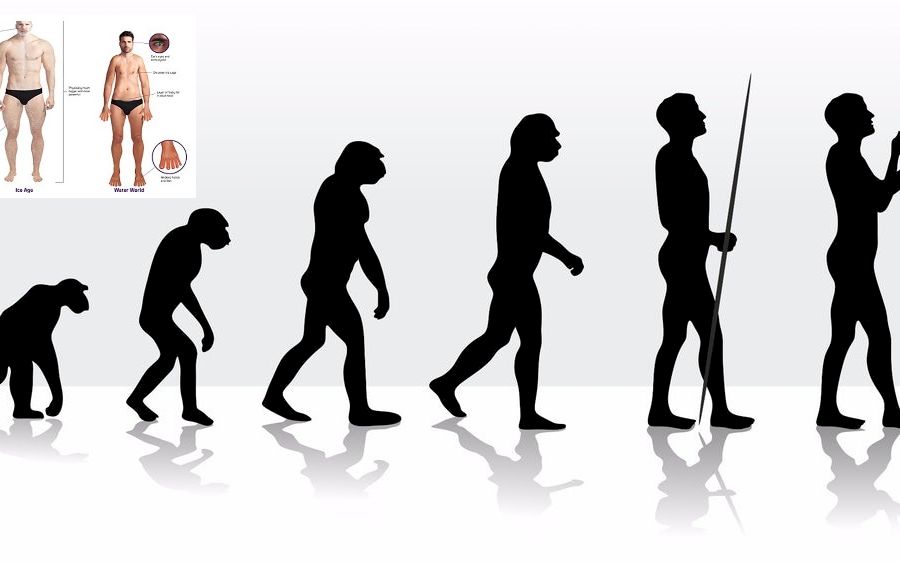 evolutia