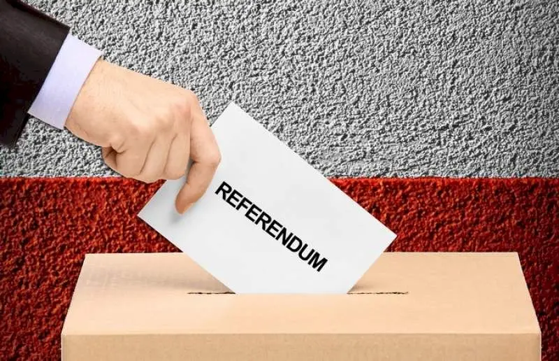 Care a fost primul referendum din istoria României?