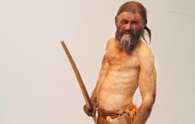 Ce mâncau oamenii acum 5.000 de ani? Ce s-a găsit în stomacul lui Ötzi, Omul Ghețurilor?