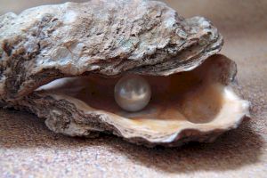E adevărat că un pescar a găsit o perlă de 34 kilograme? Ce s-a întâmplat cu obiectul timp de 10 ani!