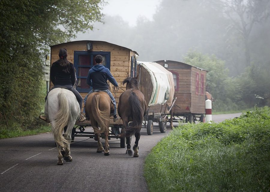 Holiday Hair Horses Bohemia Travel Caravan Gypsy