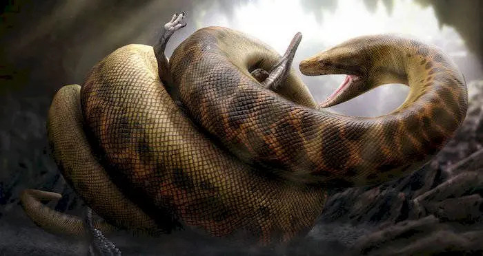 E adevărat că a existat pe Pământ un șarpe lung de 14 metri și greu de o tonă și jumătate?