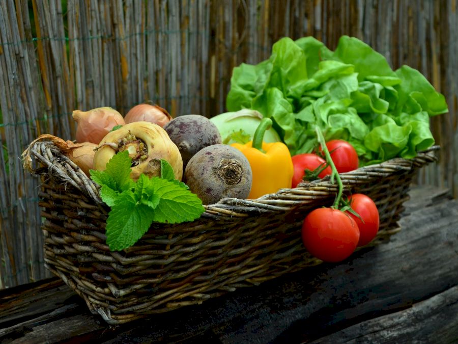 vegetables-vegetable-basket-harvest-garden