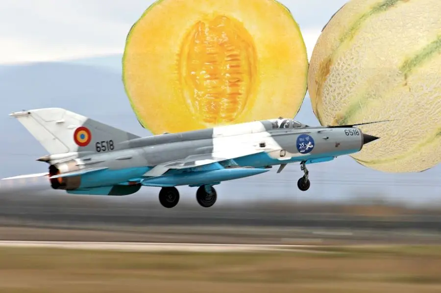 Mofturi de dictator. E adevărat că Ceaușescu a trimis un avion MIG să aducă pepene galben în plină iarnă?