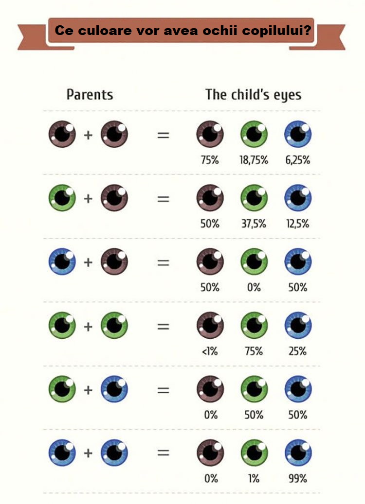 Tipuri de culori de ochi