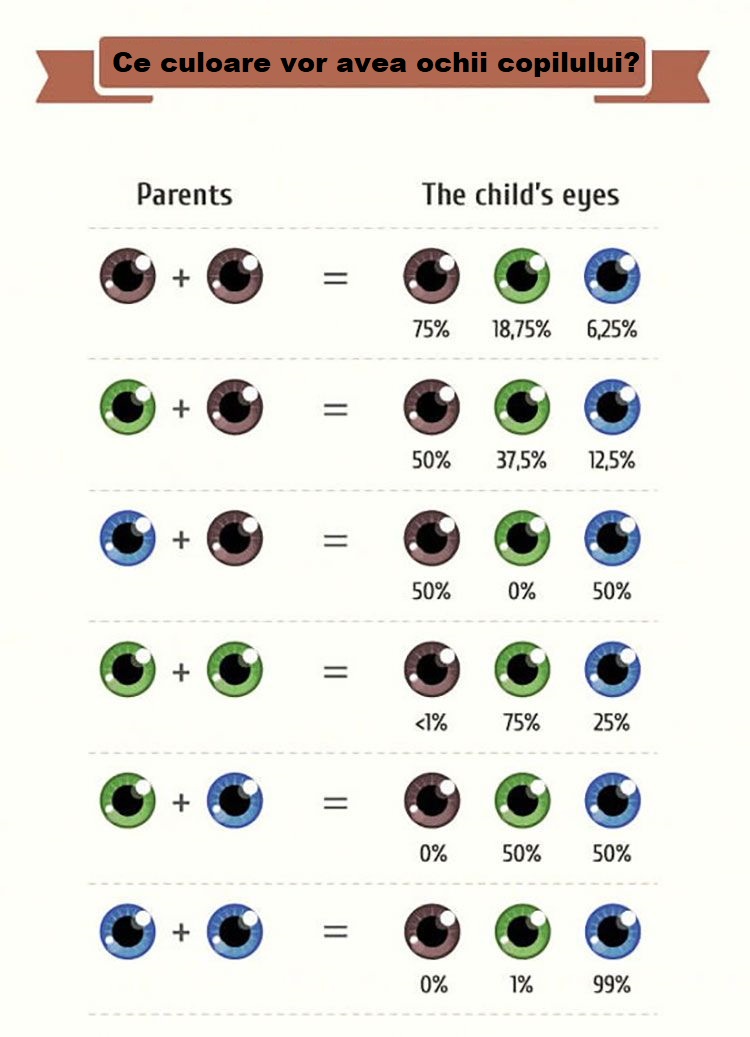 Ce Culoare Vor Avea Ochii Copilului In Funcție De Culoarea Ochilor