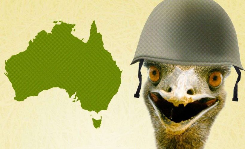 E adevărat că armata australiană a pierdut un război cu păsările Emu?