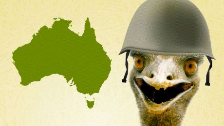 E adevărat că armata australiană a pierdut un război cu păsările Emu?