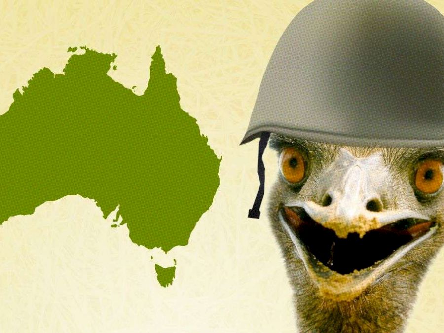 emu