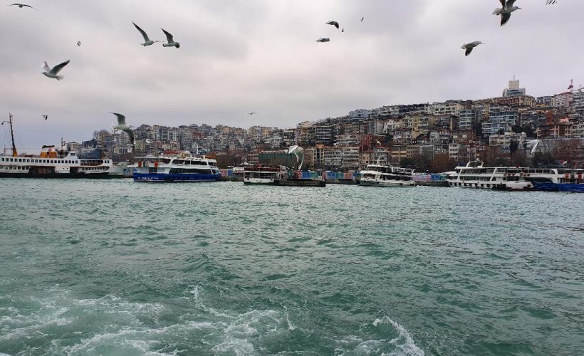De ce Turcia se numește Turkey în engleză și care este legătura cu curcanul?