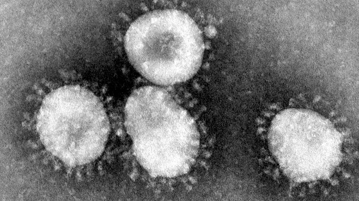 Cât de periculos este coronavirusul din China?