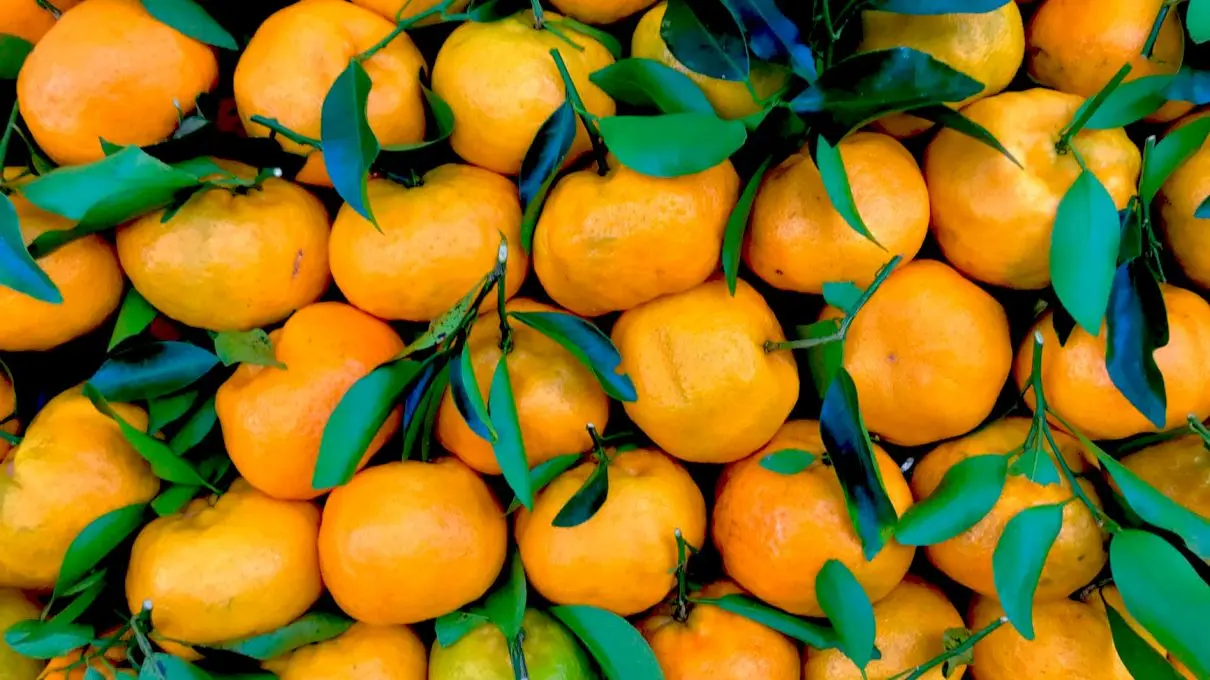 Care este diferența dintre mandarine si clementine?