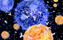 Ce sunt anticorpii și cum funcționează virușii?