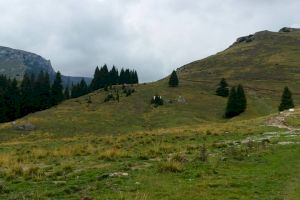 Care este locul din Munții Carpați unde organismul nu obosește?