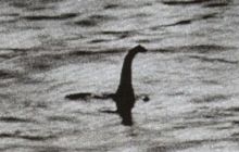 Este adevărată fotografia monstrului din Loch Ness? Care este povestea imaginii?