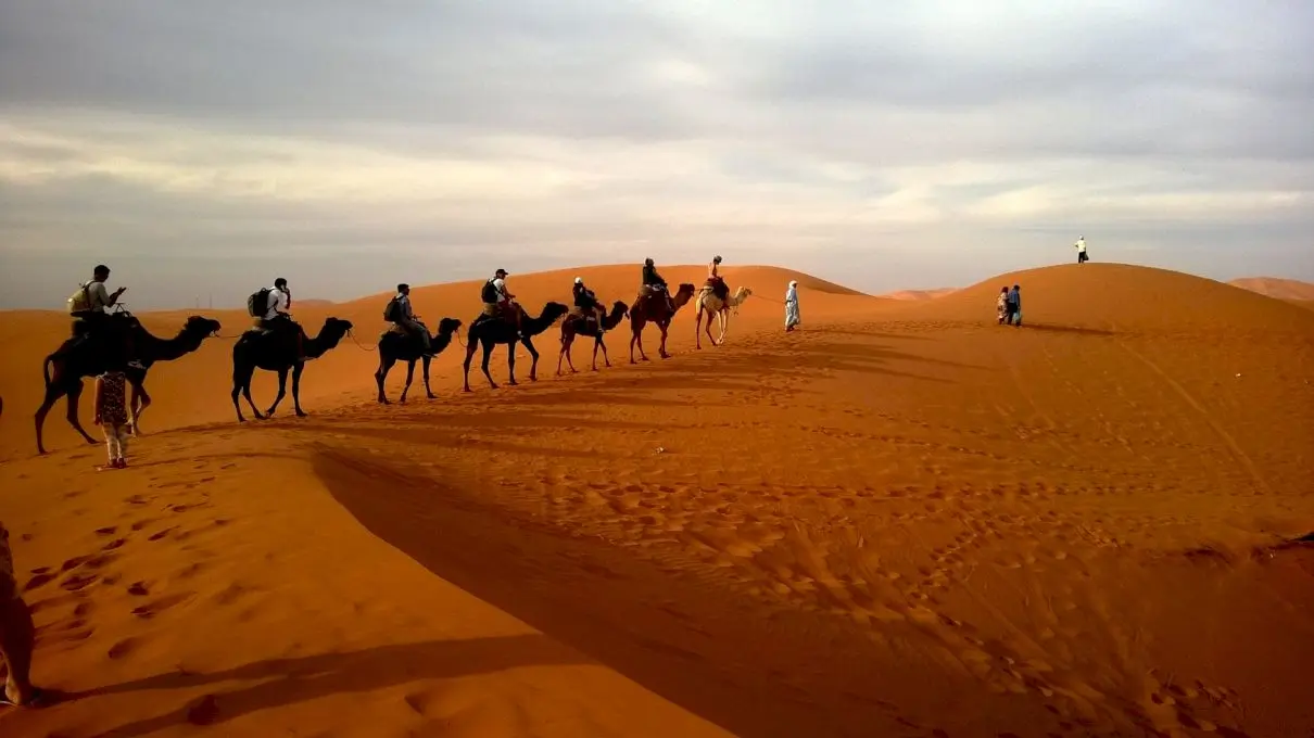 E adevărat că Arabia Saudită importă nisip și cămile din Australia?