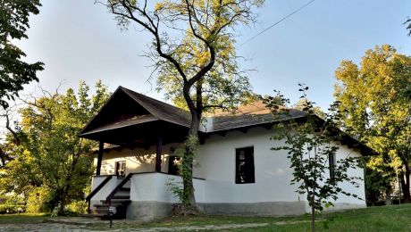 Cum era casa din Ipotești unde a copilărit Mihai Eminescu? Câte camere avea și ce era fascinant la locuință?