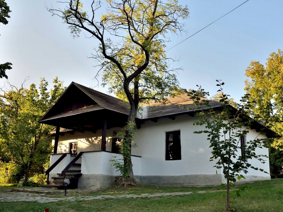 casa_eminescu_ipotesti