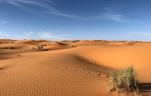 Cum arăta deșertul Sahara în urmă cu 10.000 de ani?