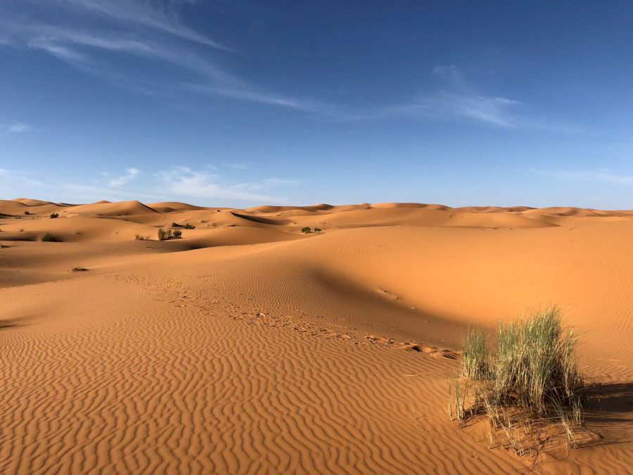 desertul Sahara