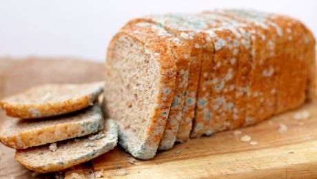 Ce se întâmplă dacă mănânci pâine cu mucegai?