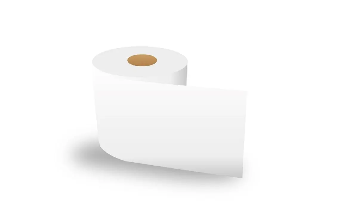 Cum se descurcau oamenii înainte să se inventeze hârtia igienică?