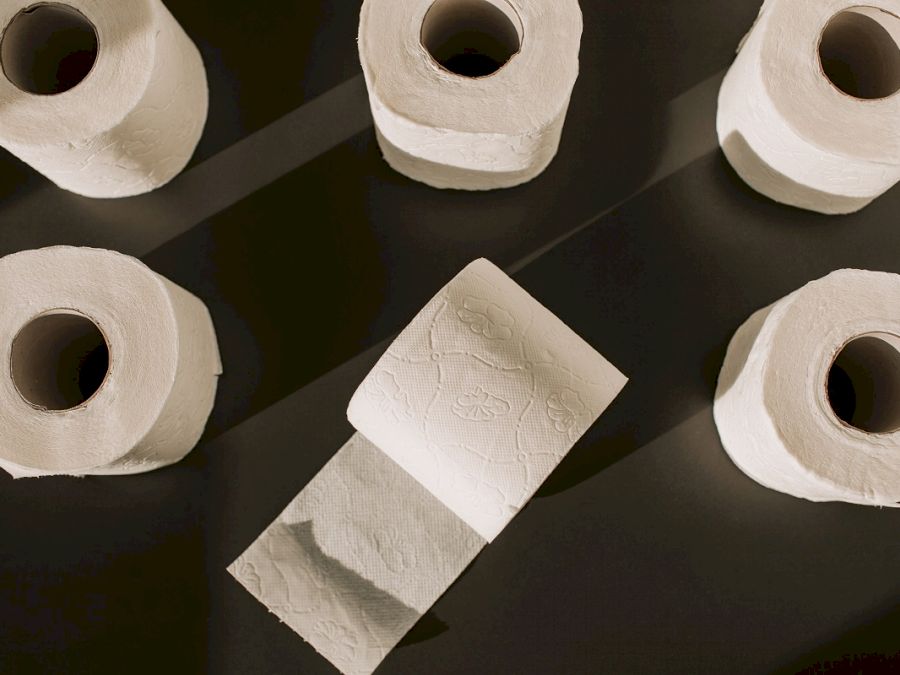 toilet-paper-rolls-on-the-floor-3958186