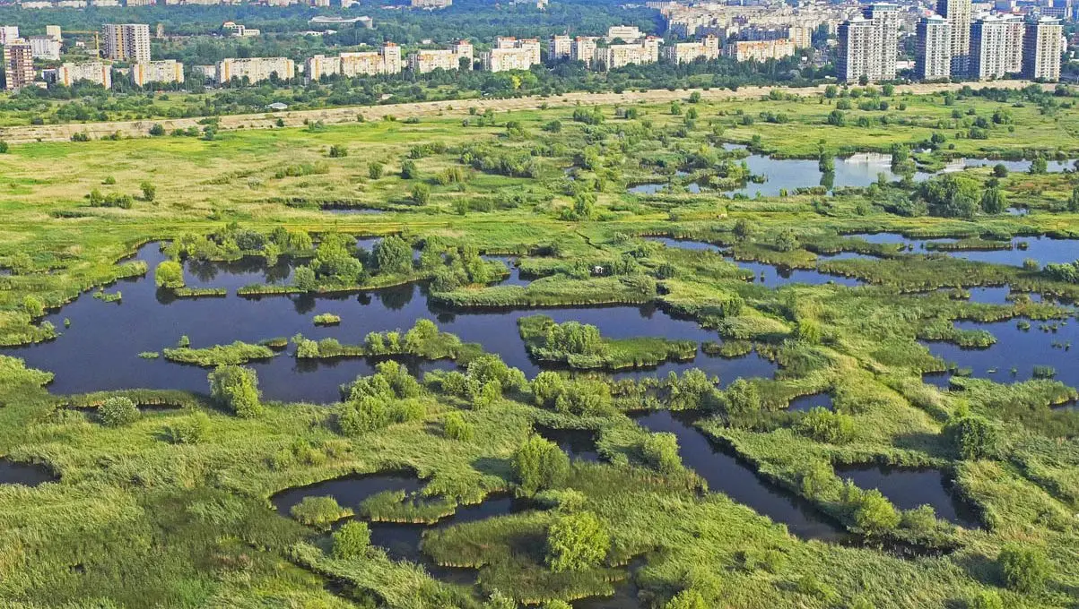 Care e povestea Parcului Natural Văcărești? Ce planuri aveau comuniștii cu zona?