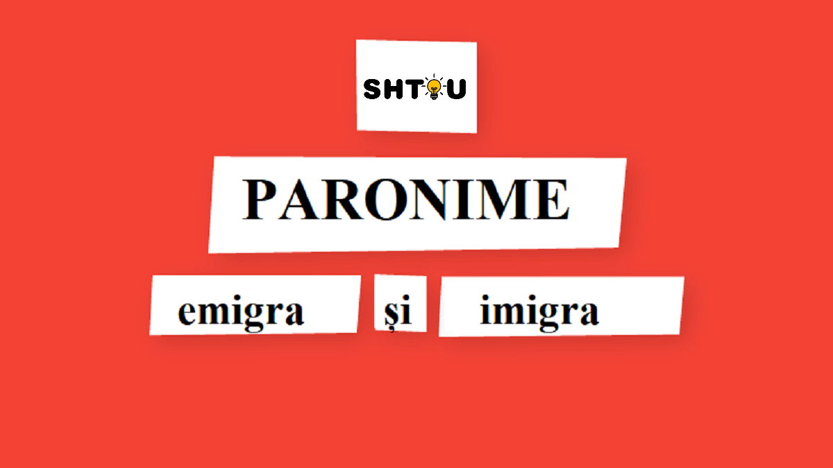 Ce sunt paronimele? De câte feluri sunt paronimele?