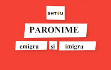 Ce sunt paronimele? De câte feluri sunt paronimele?