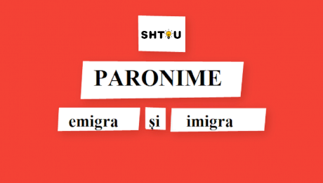 Ce sunt paronimele? De câte feluri sunt paronimele?