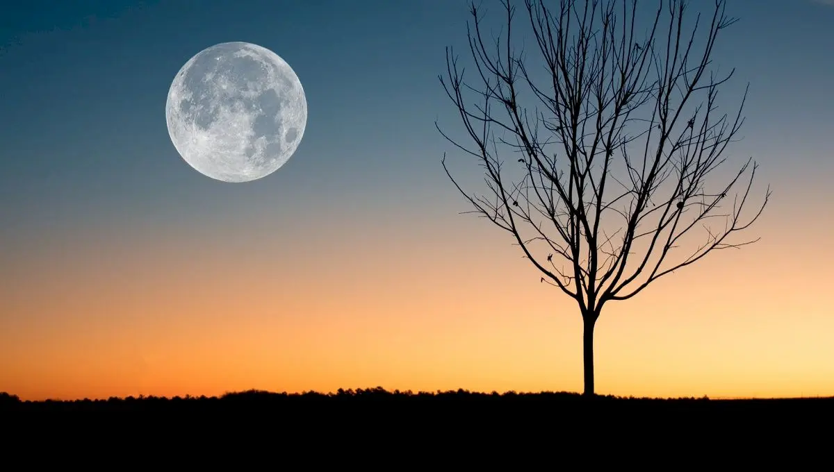 Ce este fenomenul de Lună plină? Ce se întâmplă când este Lună plină?
