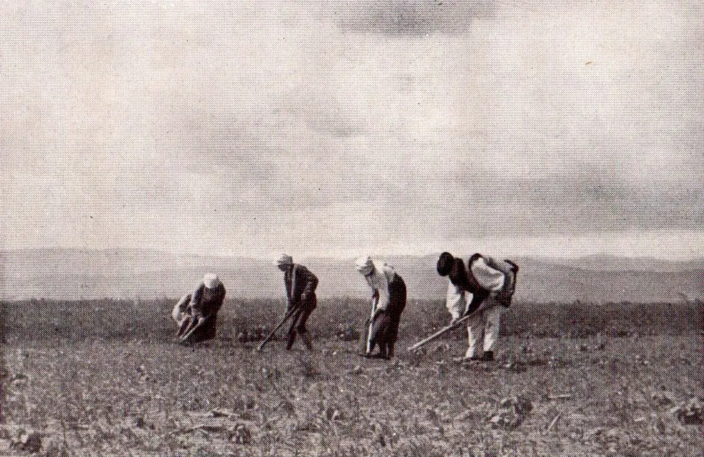 De ce țăranii români și-au dorit mereu pământ?